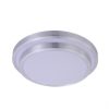 36W Ceiling Light CE109