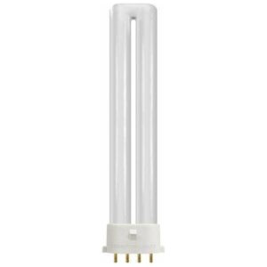 4Pin PL Globe 36W Cool White