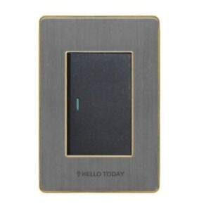 HT 1L Light Switch Silver/Gold 2×4 2Way