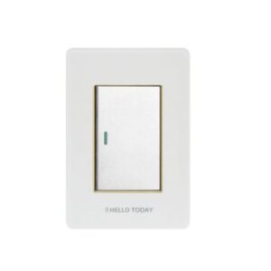 HT 1L Light Switch White/Gold 2×4 2Way