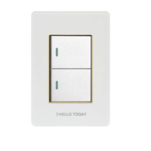 HT 2L Light Switch White/Gold 2×4 2Way