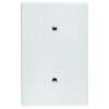 Crabtree Blank Cover 2X4