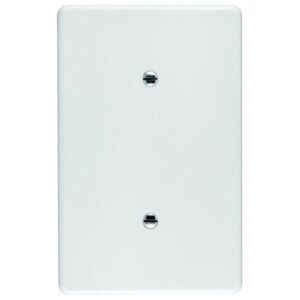 Crabtree Blank Cover 2X4